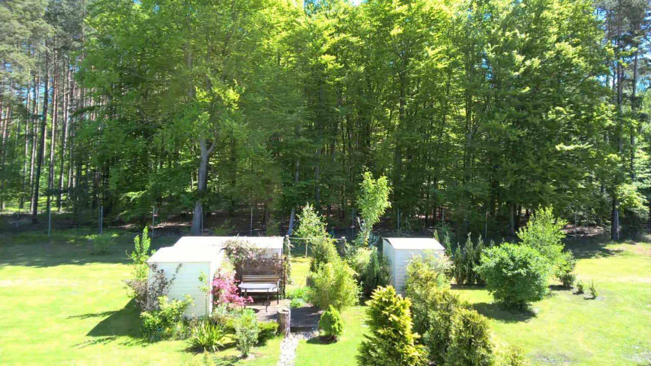 Ferienwohnung "Schonzeit" Graal-Mueritz Extérieur photo