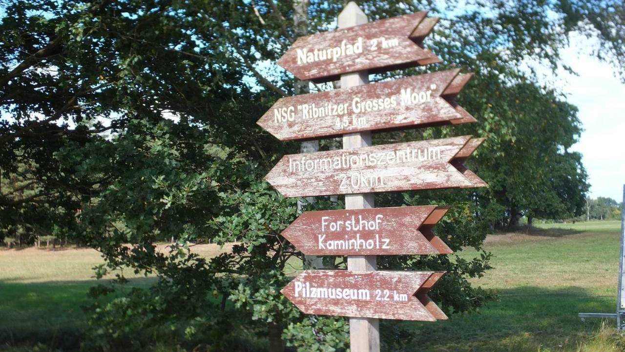 Ferienwohnung "Schonzeit" Graal-Mueritz Extérieur photo