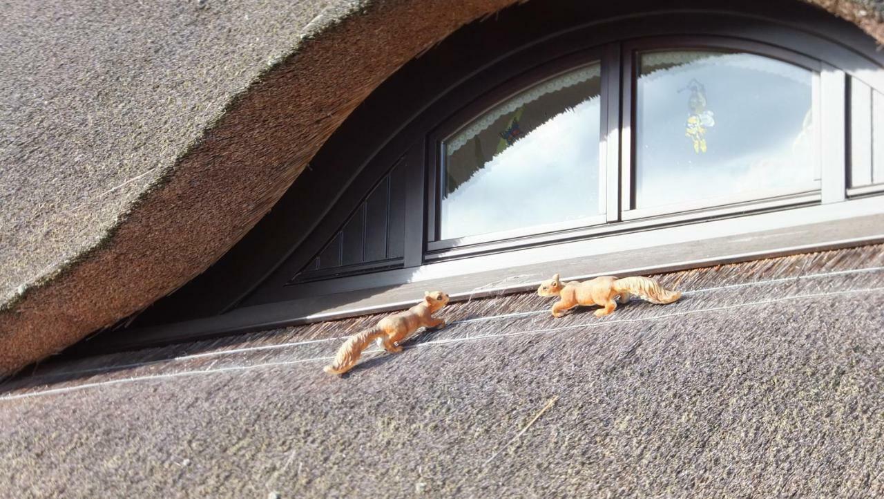Ferienwohnung "Schonzeit" Graal-Mueritz Extérieur photo